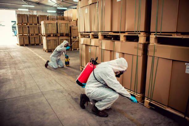 Best Affordable Pest Control Services  in Glassport, PA