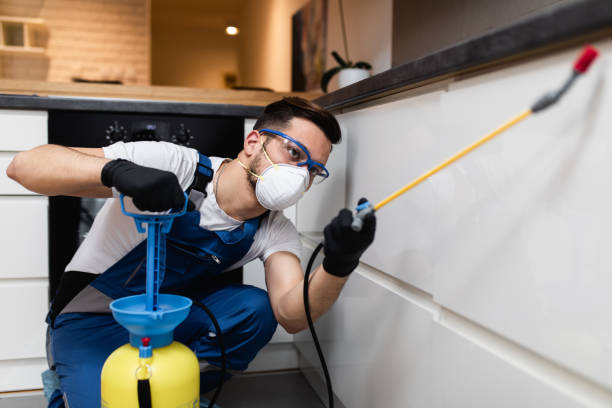 Best Pest Removal Services  in Glassport, PA
