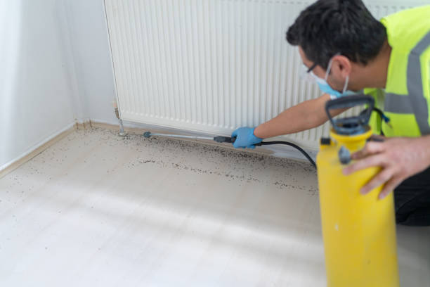 Best Commercial Pest Control Services  in Glassport, PA